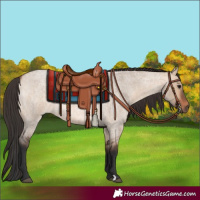 Horse Color:Bay Roan Dun 