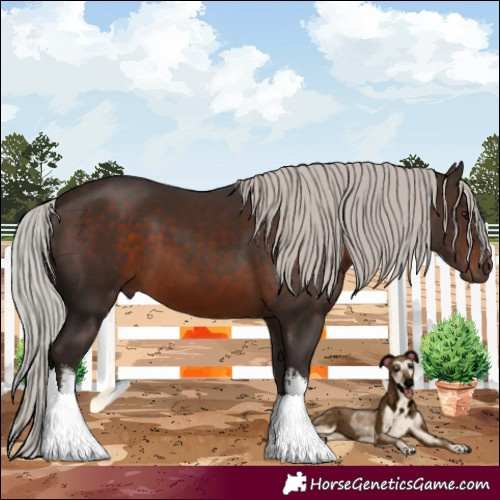 Horse Color:White Spotted Silver Brown