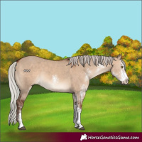 Horse Color:Silver Brown Dun Sabino Rabicano
