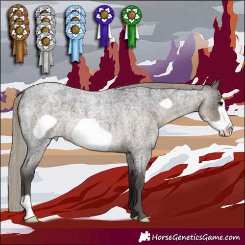 Horse Color:Silver Smoky Blue Roan Frame 