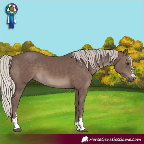 Horse Color:Silver Black 