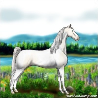 Horse Color:Silver Amber Cream Champagne Ice Pearl Tobiano