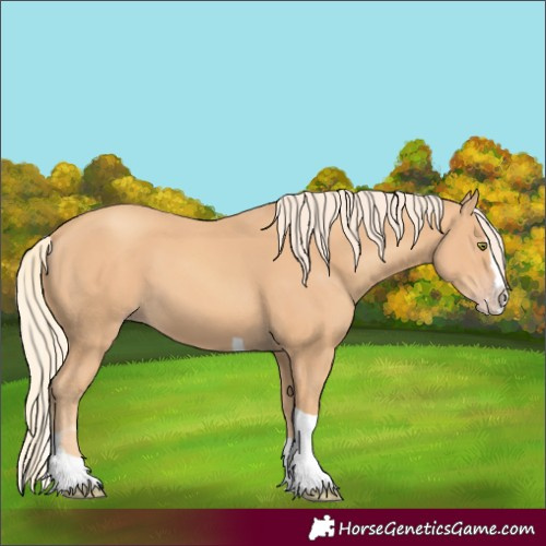 Horse Color:Gold Champagne Splash Tobiano 