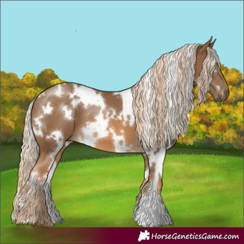 Horse Color:White Spotted Chocolate Palomino 