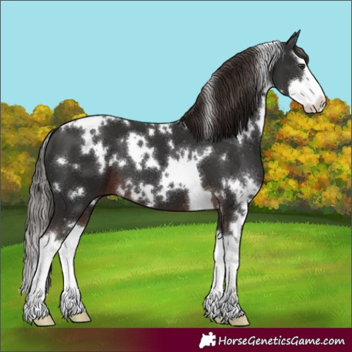 Horse Color:White Spotted Liver Chestnut Splash 