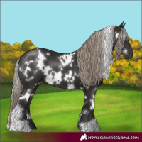 Horse Color:White Spotted Liver Chestnut 