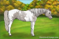 Horse Color:Silver Black Ice Tobiano 