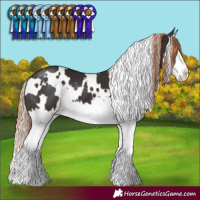 Horse Color:White Spotted Liver Chestnut Splash 