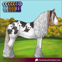 Horse Color:White Spotted Liver Chestnut Splash 
