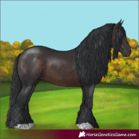 Horse Color:Brown 