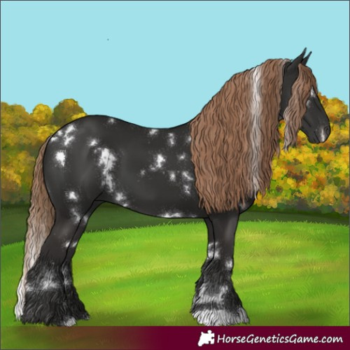Horse Color:White Spotted Liver Chestnut 