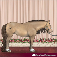 Horse Color:Sable Cream Champagne 