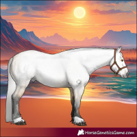 Horse Color:Gray Buckskin Dun 
