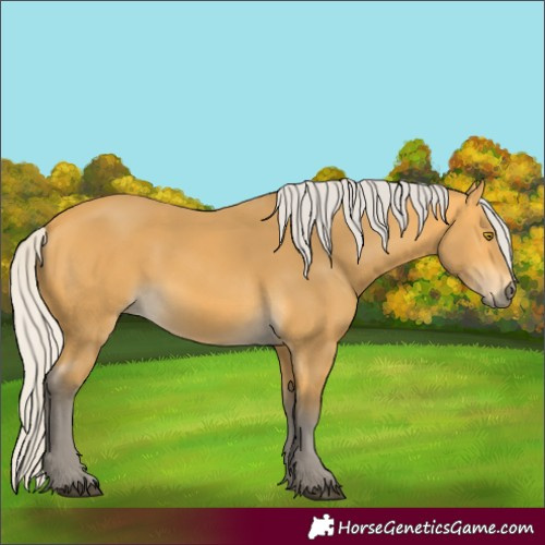 Horse Color:Silver Buckskin 