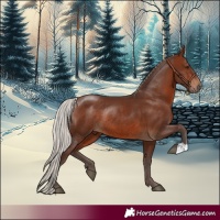 Horse Color:Silver Brown Rabicano 