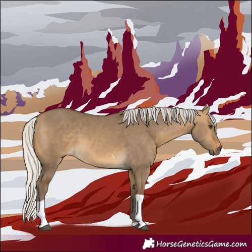 Horse Color:Silver Buckskin Dun Tobiano 