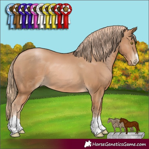 Horse Color:Chestnut Pearl 
