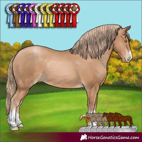 Horse Color:Chestnut Pearl 