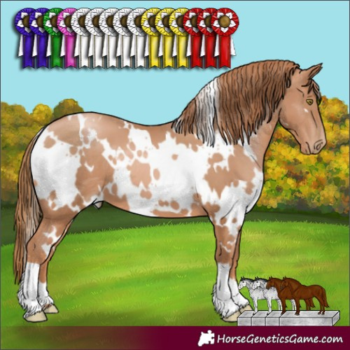 Horse Color:White Spotted Chestnut Pearl 