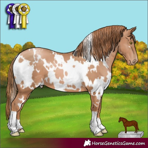Horse Color:White Spotted Chestnut Pearl 