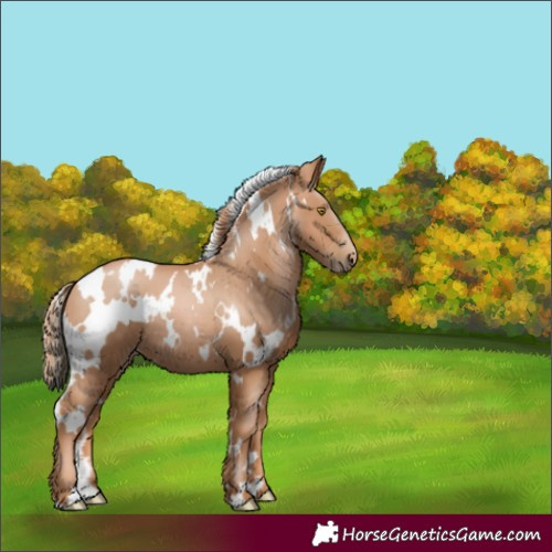 Horse Color:White Spotted Chestnut Pearl 