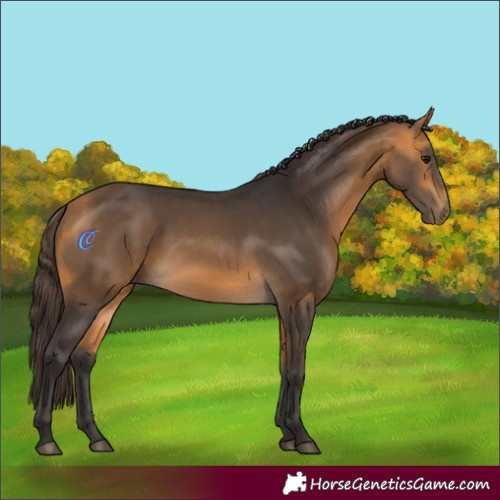 Horse Color:Buckskin 