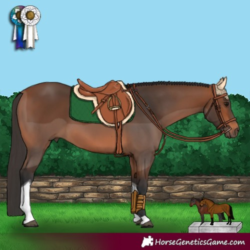 Horse Color:Bay Tobiano 