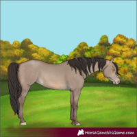 Horse Color:Sable Champagne Dun 