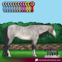 Horse Color:Brown Roan Dun 