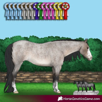 Horse Color:Brown Roan Dun 