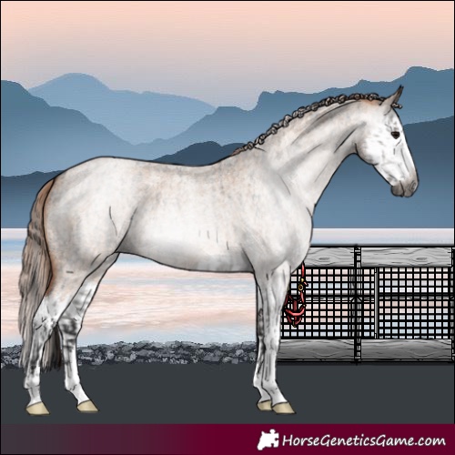 Horse Color:Gray Grullo Roan  and Red Dun Roan Splash 