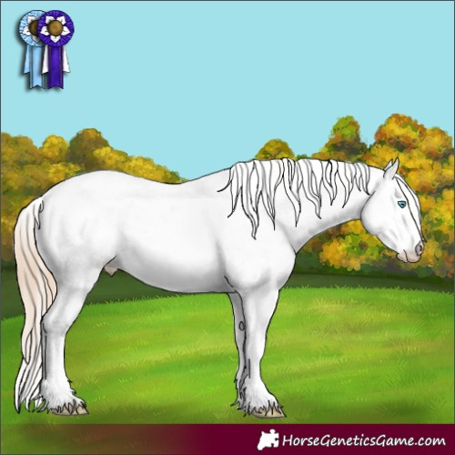 Horse Color:Chocolate Perlino Dun Sabino 