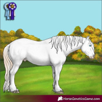 Horse Color:Chocolate Perlino Dun Sabino