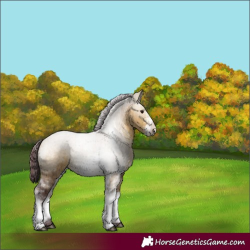 Horse Color:Chocolate Buckskin Dun Sabino 