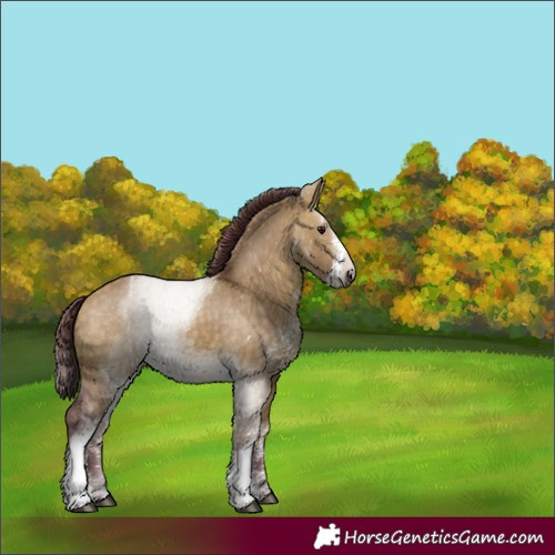 Horse Color:Chocolate Buckskin Dun Sabino 