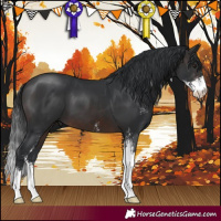 Horse Color:Brown Sabino