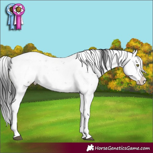 Horse Color:Brown Sabino