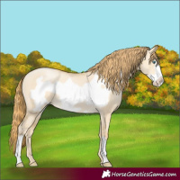 Horse Color:Smoky Grullo Pearl Frame 