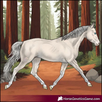 Horse Color:Cremello Tobiano