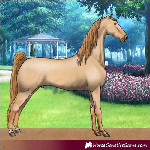 Horse Color:Red Dun 