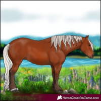 Horse Color:Silver Brown