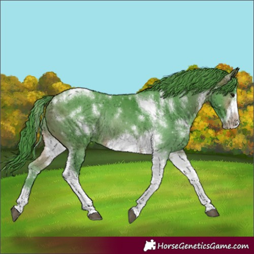 Horse Color:Watercolor White Spotted Brown Tobiano Frame Rabicano 