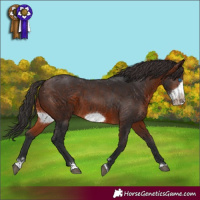 Horse Color:Brown Frame 