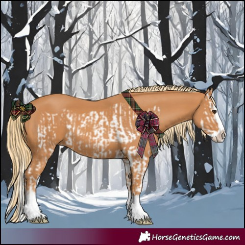 Horse Color:Chestnut Splash Frame  and Chestnut Splash 