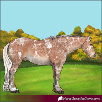 Horse Color:White Spotted Silver Bay Ice