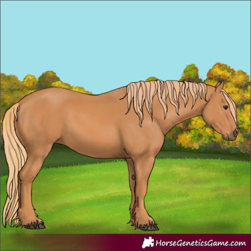 Horse Color:Chestnut Rabicano 