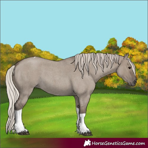 Horse Color:Silver Grullo Roan Tobiano