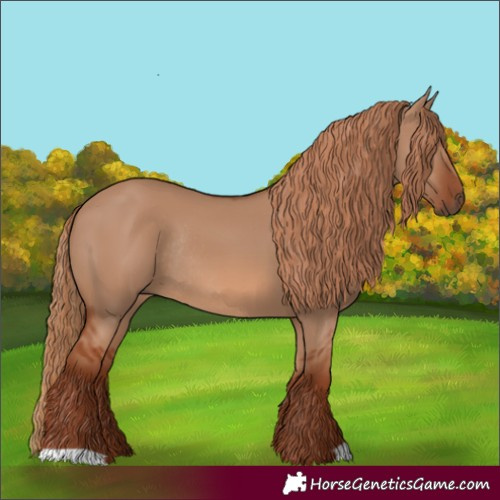 Horse Color:Red Dun Rabicano 