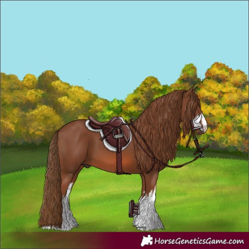 Horse Color:White Spotted Chestnut