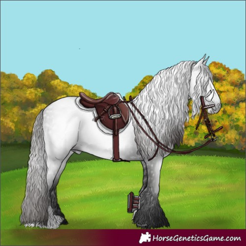 Horse Color:Gray Liver Chestnut